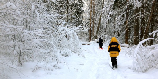 Как подготовиться к прогулке по зимнему лесу? Инфографика