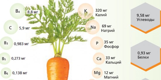 Какова реальная польза моркови?