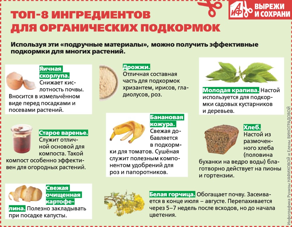 Топ-8 ингредиентов для органических подкормок