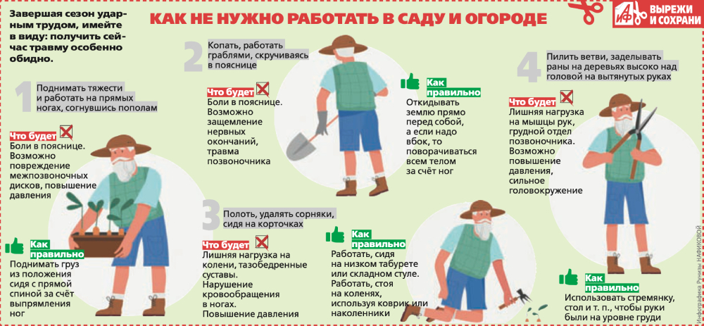 Инфографика Руниза Нафикова