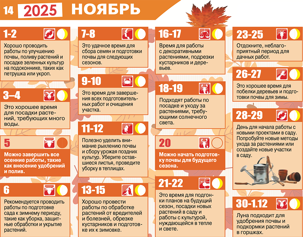 Лунный календарь 2025 Ноябрь