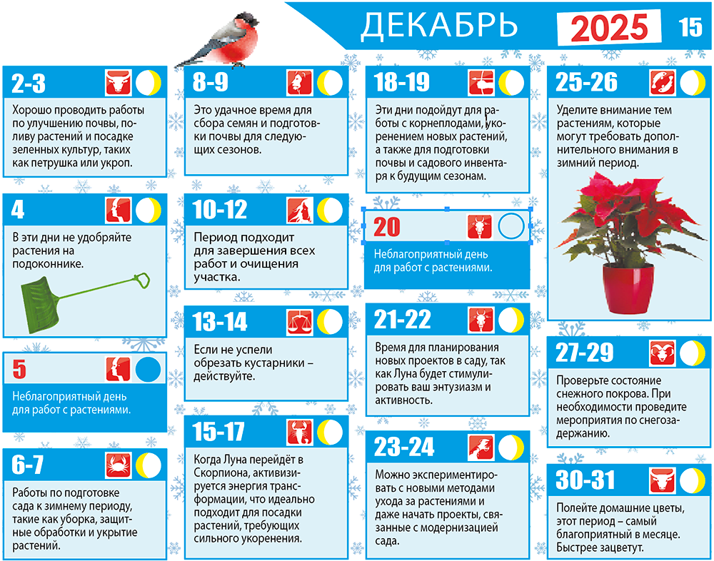 Лунный календарь 2025 Декабрь